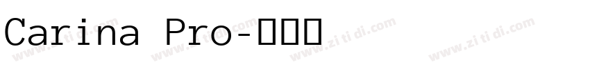 Carina Pro字体转换